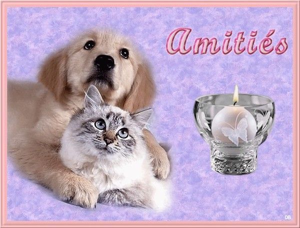 TRES BONNE ET HEUREUSE ANNEE 2021